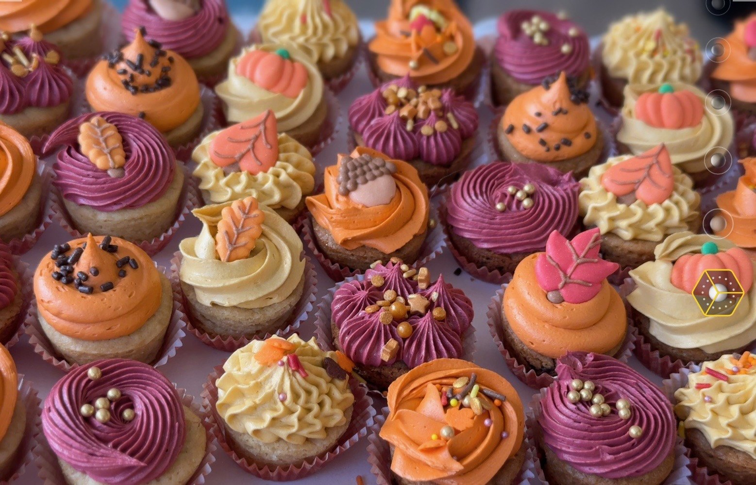 Assorted fall cupcakes with piped buttercream and seasonal decorations